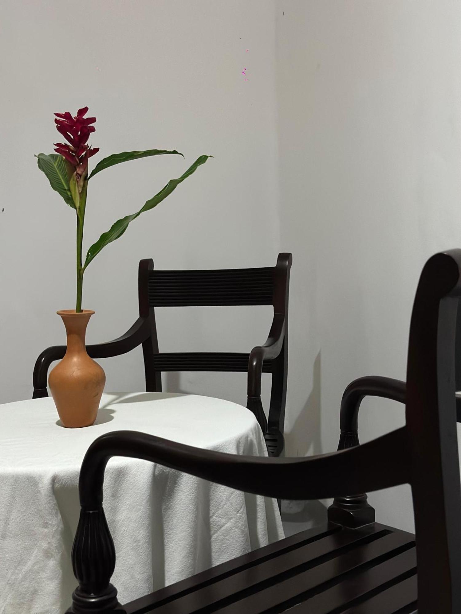Appartamento Casa Del Ceylon Hikkaduwa Esterno foto