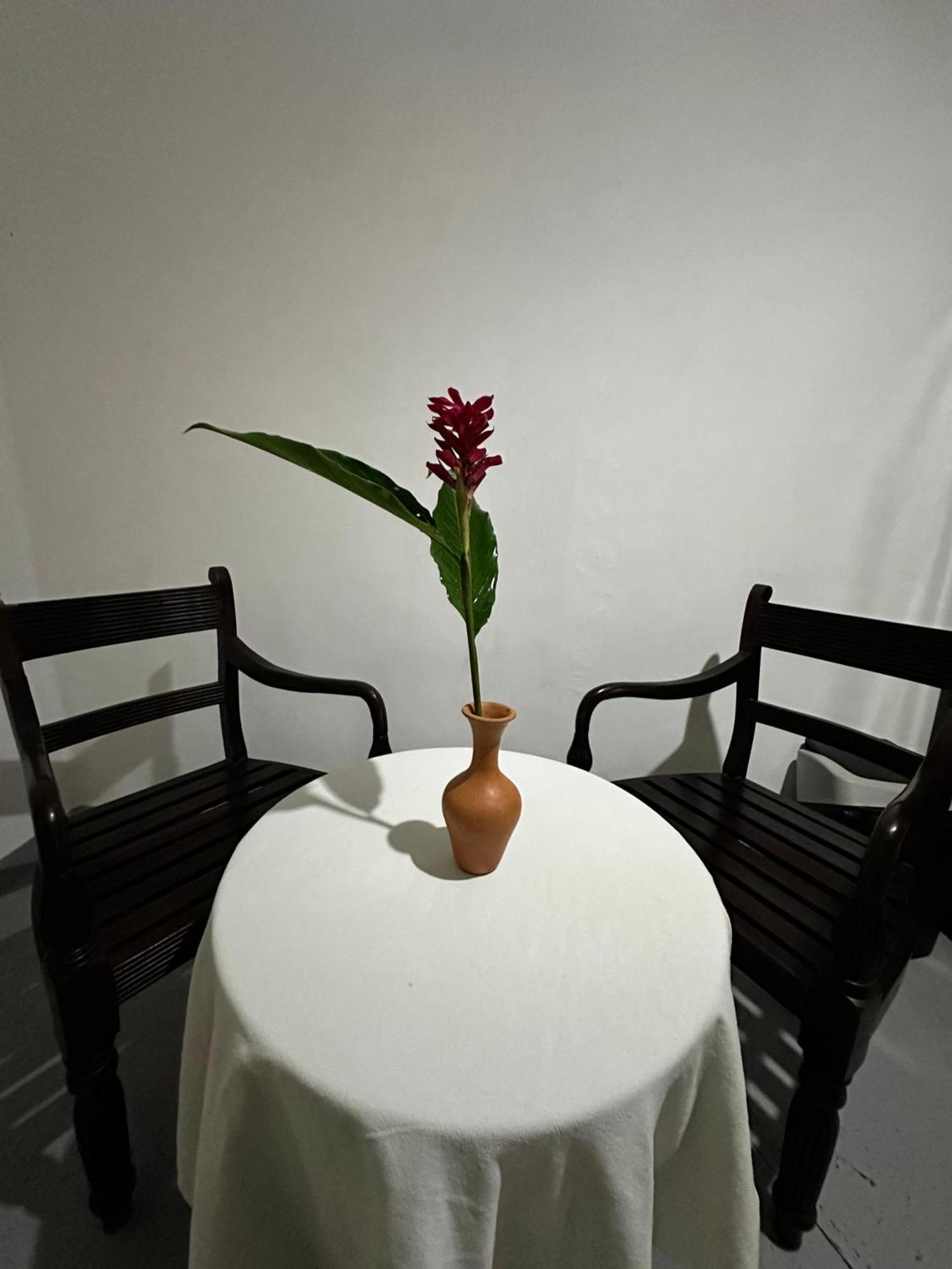 Appartamento Casa Del Ceylon Hikkaduwa Esterno foto
